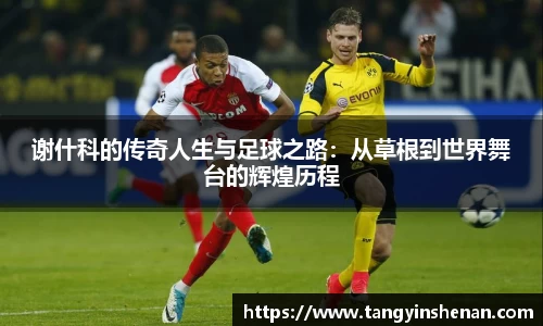 谢什科的传奇人生与足球之路：从草根到世界舞台的辉煌历程